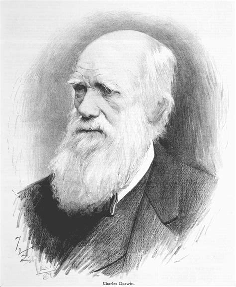 Darwin